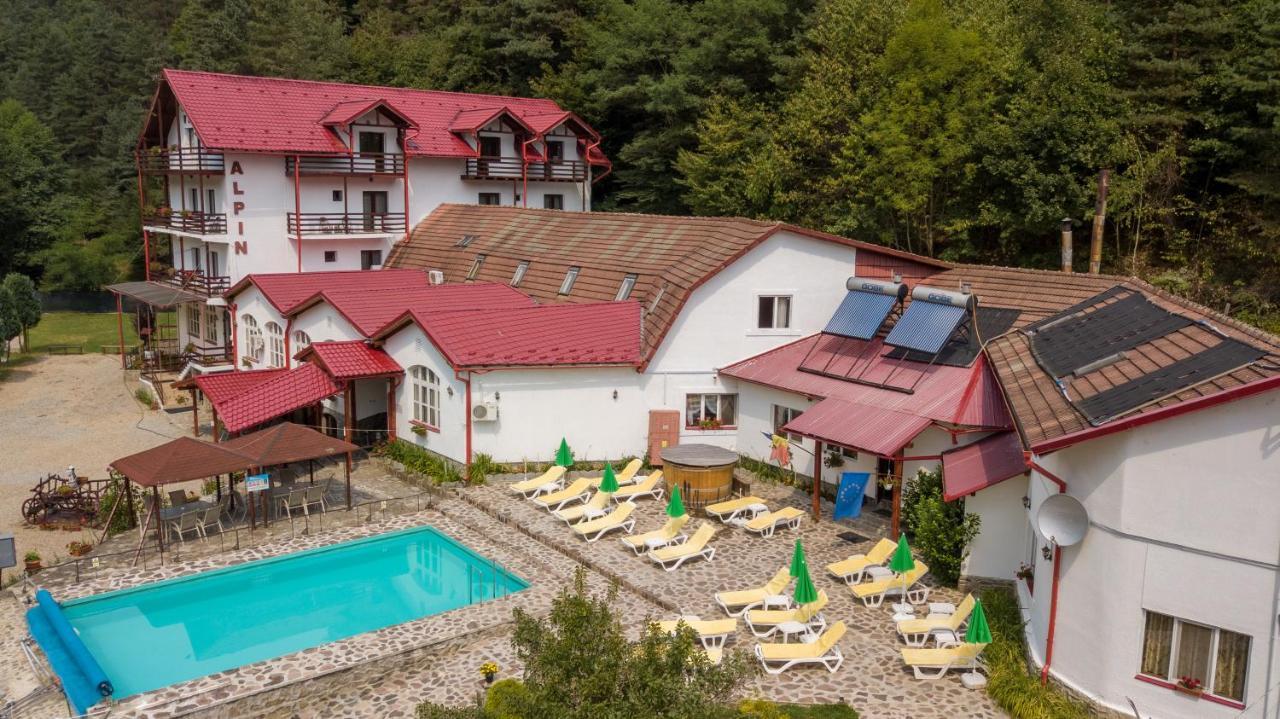 Pensiunea Alpin Пелтініш Екстер'єр фото