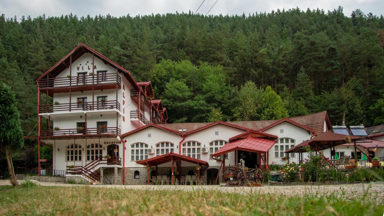 Pensiunea Alpin Пелтініш Екстер'єр фото