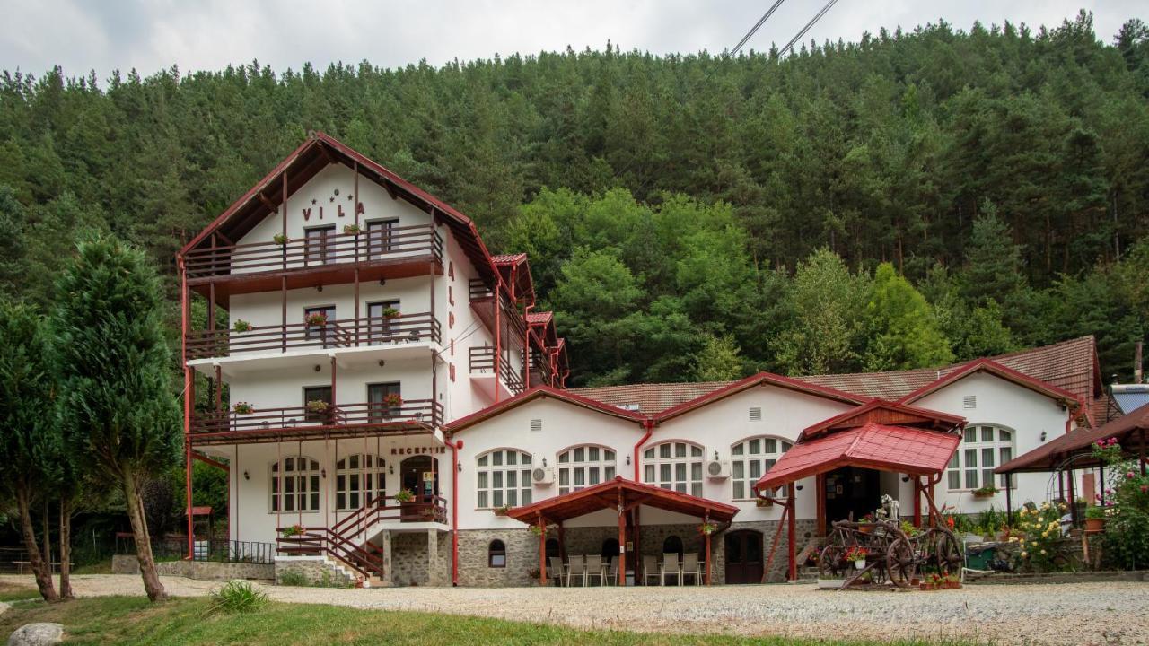 Pensiunea Alpin Пелтініш Екстер'єр фото